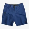 Quiksilver Mens Everyday Solid 20" Board Shorts