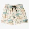 Quiksilver Mens Everyday Mix 17" Swim Shorts