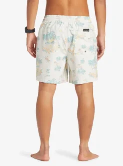 Quiksilver Mens Everyday Mix 17" Swim Shorts -Sunny Fit Wear eqyjv04022 quiksilverw wdw9 bck1