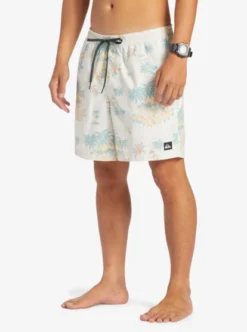 Quiksilver Mens Everyday Mix 17" Swim Shorts -Sunny Fit Wear eqyjv04022 quiksilverw wdw9 frt2