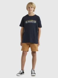 Quiksilver Boys 8-16 Gradient LineT-Shirt -Sunny Fit Wear uqbzt03343 quiksilverw byj0 frt9