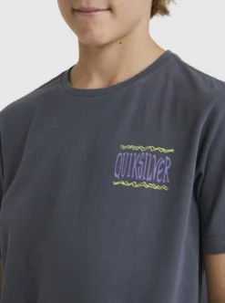 Quiksilver Boys 8-16 Taking RootsT-Shirt -Sunny Fit Wear uqbzt03344 quiksilverw kzm0 dtl1