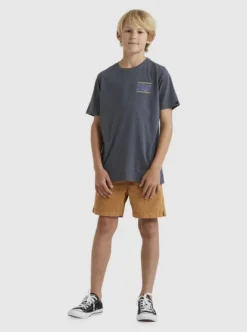 Quiksilver Boys 8-16 Taking RootsT-Shirt -Sunny Fit Wear uqbzt03344 quiksilverw kzm0 frt9
