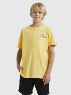 Quiksilver Boys 8-17Circle Back T-Shirt For Boys 8-16 -Sunny Fit Wear uqbzt03347 quiksilverw yfl0 frt1