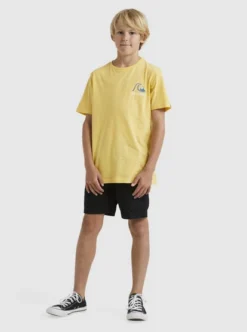 Quiksilver Boys 8-17Circle Back T-Shirt For Boys 8-16 -Sunny Fit Wear uqbzt03347 quiksilverw yfl0 frt9