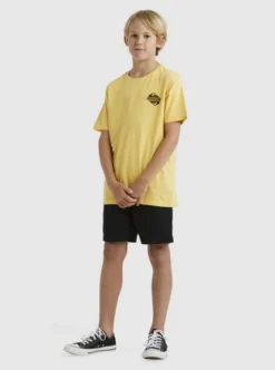 Quiksilver Boys 8-16 Rising WaterT-Shirt -Sunny Fit Wear uqbzt03348 quiksilverw yfl0 frt9