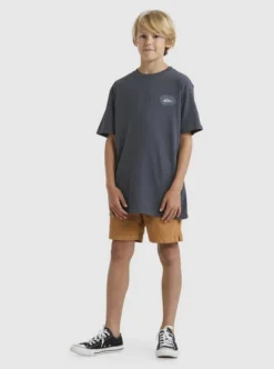 Quiksilver Boys 8-16 Urban SurferT-Shirt -Sunny Fit Wear uqbzt03351 quiksilverw kzm0 frt9