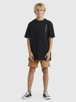 Quiksilver Boys 8-16 Omni SerpentT-Shirt -Sunny Fit Wear uqbzt03352 quiksilverw kvj0 frt9