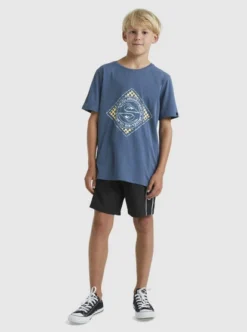 Quiksilver Boys 8-16 Splitting Hairs T-Shirt -Sunny Fit Wear uqbzt03364 quiksilverw byg0 frt9