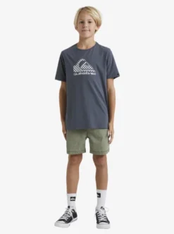 Quiksilver Boys Corp Fills T-Shirt -Sunny Fit Wear uqbzt03373 quiksilverw kzm0 frt9
