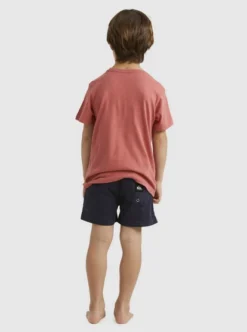 Quiksilver Boys 2-7 Vintage Feel T-Shirt -Sunny Fit Wear uqkzt03366 quiksilverw mmz0 bck1