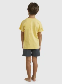 Quiksilver Boys 2-7 In The Groove T-Shirt -Sunny Fit Wear uqkzt03376 quiksilverw yfl0 bck1