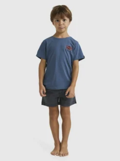 Quiksilver Boys 2-7 Back Flash T-Shirt -Sunny Fit Wear uqkzt03377 quiksilverw byg0 frt1
