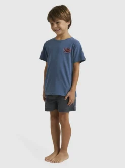 Quiksilver Boys 2-7 Back Flash T-Shirt -Sunny Fit Wear uqkzt03377 quiksilverw byg0 sd1