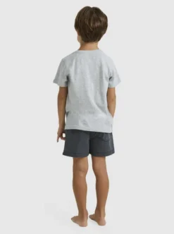 Quiksilver Boys 2-7 Surf The Earth T-Shirt -Sunny Fit Wear uqkzt03382 quiksilverw sgrh bck1