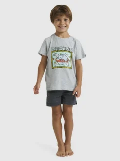 Quiksilver Boys 2-7 Surf The Earth T-Shirt -Sunny Fit Wear uqkzt03382 quiksilverw sgrh frt1