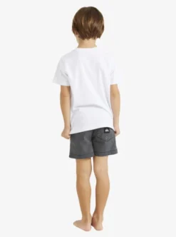 Quiksilver Boys 2-7 Rainmaker T-Shirt -Sunny Fit Wear uqkzt03391 quiksilverw wbb0 bck1