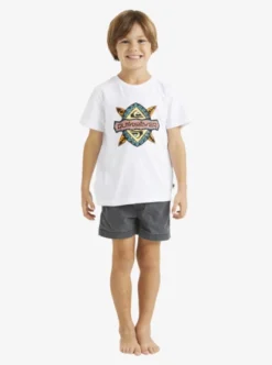Quiksilver Boys 2-7 Rainmaker T-Shirt -Sunny Fit Wear uqkzt03391 quiksilverw wbb0 frt1