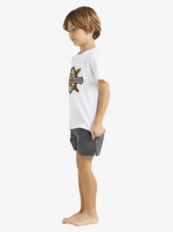Quiksilver Boys 2-7 Rainmaker T-Shirt -Sunny Fit Wear uqkzt03391 quiksilverw wbb0 sd1