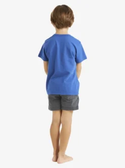 Quiksilver Boys 2-7 Argosy T-Shirt -Sunny Fit Wear uqkzt03392 quiksilverw byc0 bck1
