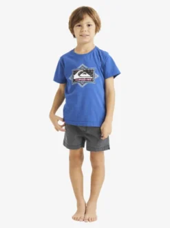 Quiksilver Boys 2-7 Argosy T-Shirt -Sunny Fit Wear uqkzt03392 quiksilverw byc0 frt1
