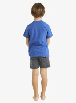 Quiksilver Boys 2-7 Omni Fill T-Shirt -Sunny Fit Wear uqkzt03399 quiksilverw byc0 bck1