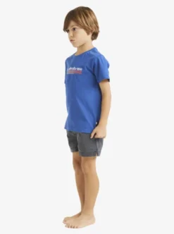 Quiksilver Boys 2-7 Omni Fill T-Shirt -Sunny Fit Wear uqkzt03399 quiksilverw byc0 sd1