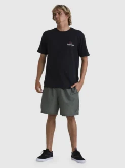 Quiksilver Mens Shop T-Shirt -Sunny Fit Wear uqmzt03222 quiksilverw kvj0 frt9