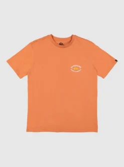 Quiksilver Mens Stay In Bounds T-Shirt